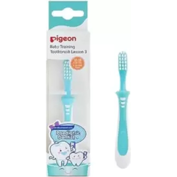pigeon baby training toothbrush lesson 1